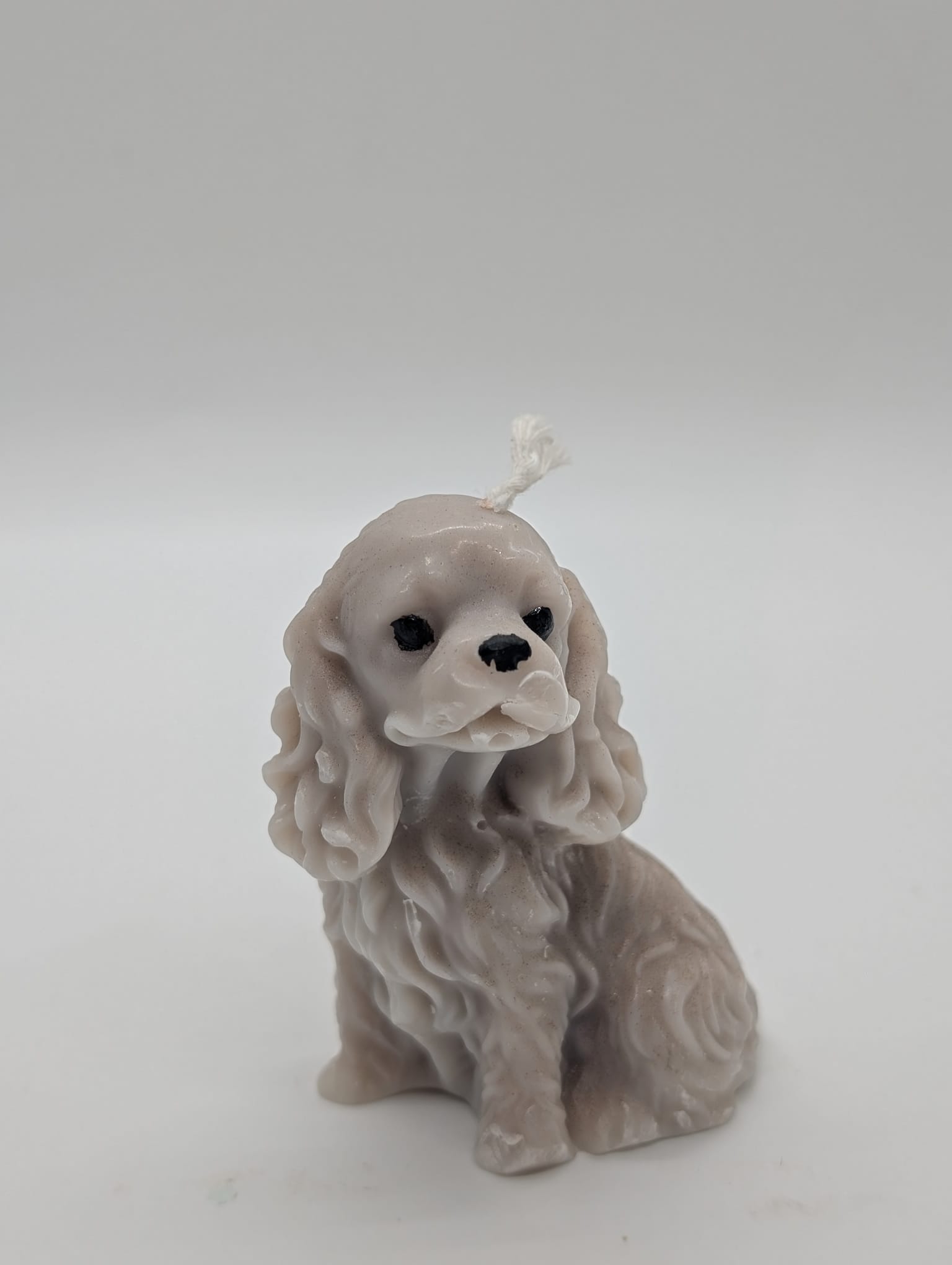 Kincg Charles/ Spaniel dog candle- Scented- Customized - Image 5