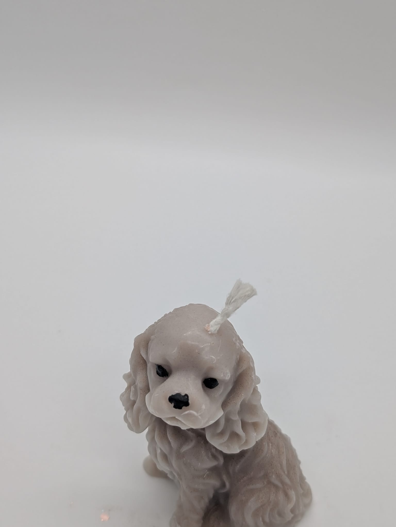 Kincg Charles/ Spaniel dog candle- Scented- Customized - Image 3