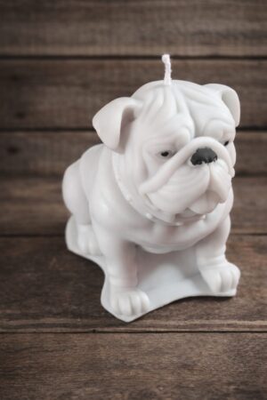 Bulldog candle dog_